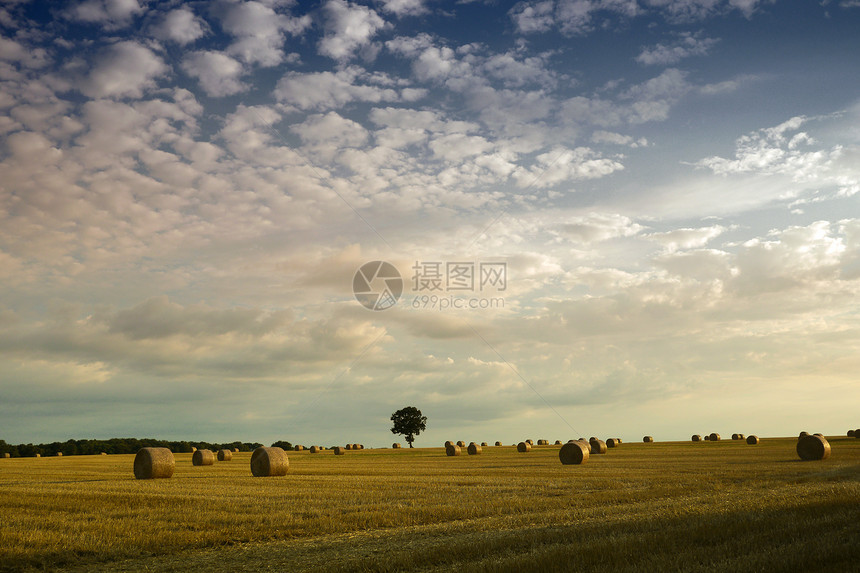 田里的干草篮子场地乡村全球粮食农业气候变化小麦图片