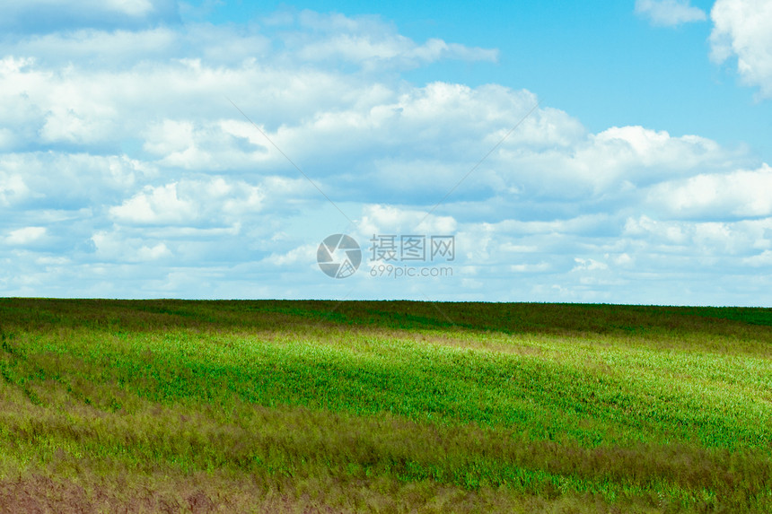 字段和蓝天空国家蓝色土地农村风景植物天空草原场地地平线图片