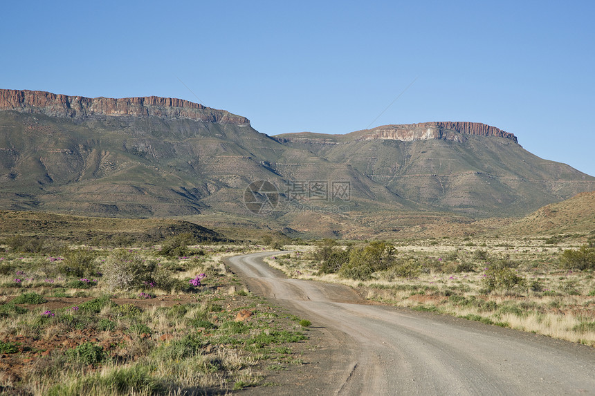 Karooo国家公园的路图片