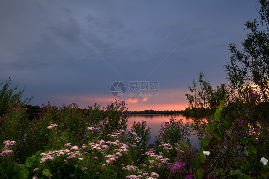 湖边和许多野花上的日落图片