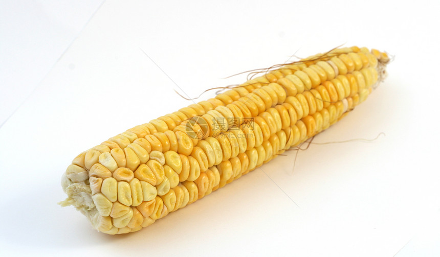玉米背景背景谷物棒子玉米芯植物营养生产食物饮食农场蔬菜图片