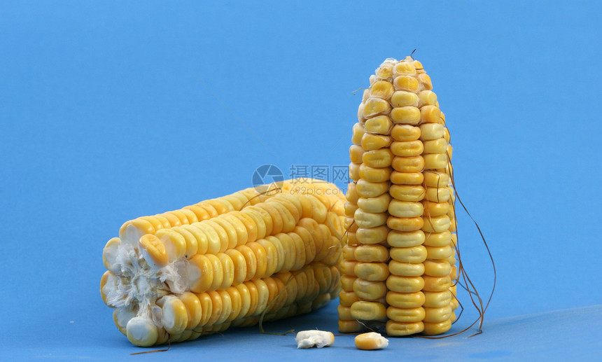 玉米背景背景耳朵食物种子饮食茶点生产植物蔬菜宏观生长图片