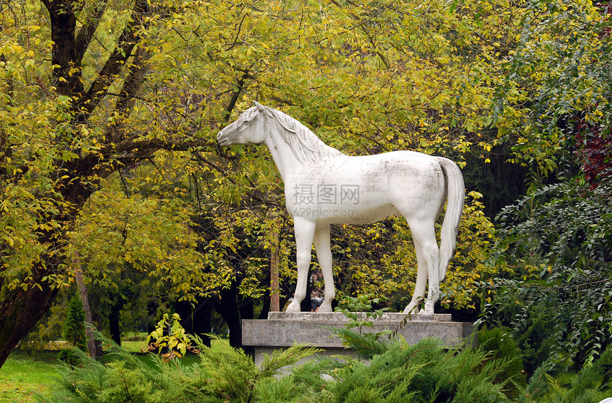 白马雕像图片