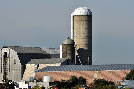 谷物硅贮存筒仓玉米农业粮食背景图片