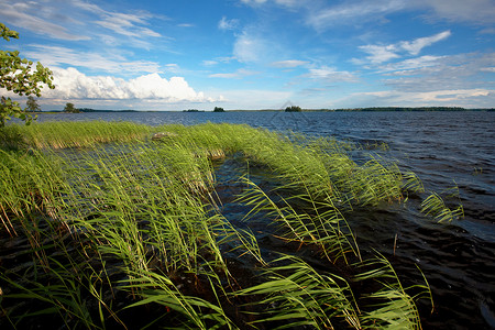 水地景观蓝色植物阳光海浪芦苇天气液体太阳假期森林高清图片