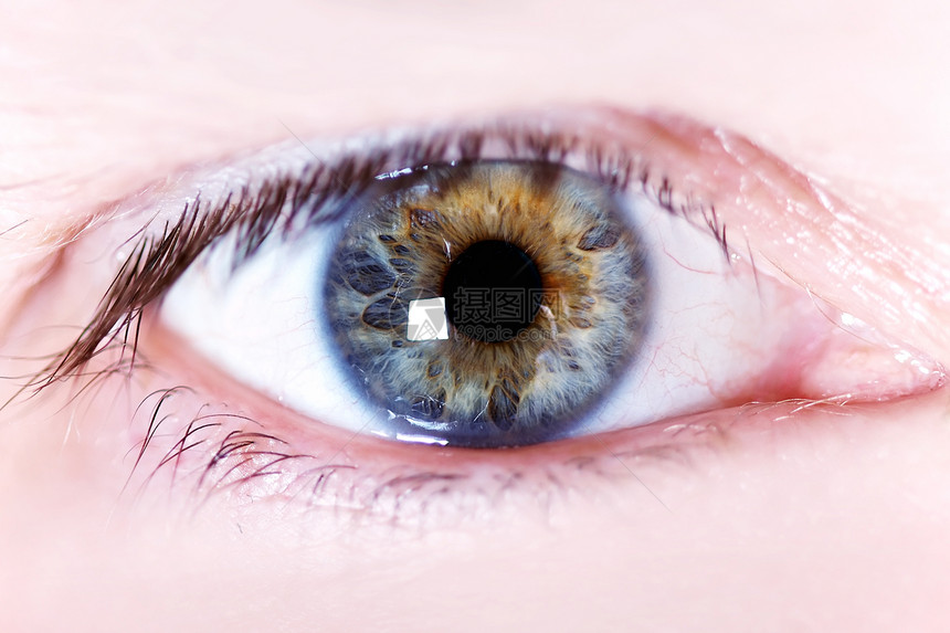 眼 目眼球蓝色光学棕色宏观水平创造力检查鸢尾花黑色图片