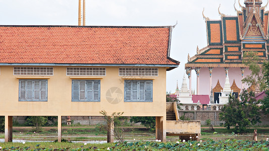 柬埔寨的学校建设和寺庙背景图片