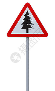 圣诞树路标志三角形警告松树白色红色路标背景图片