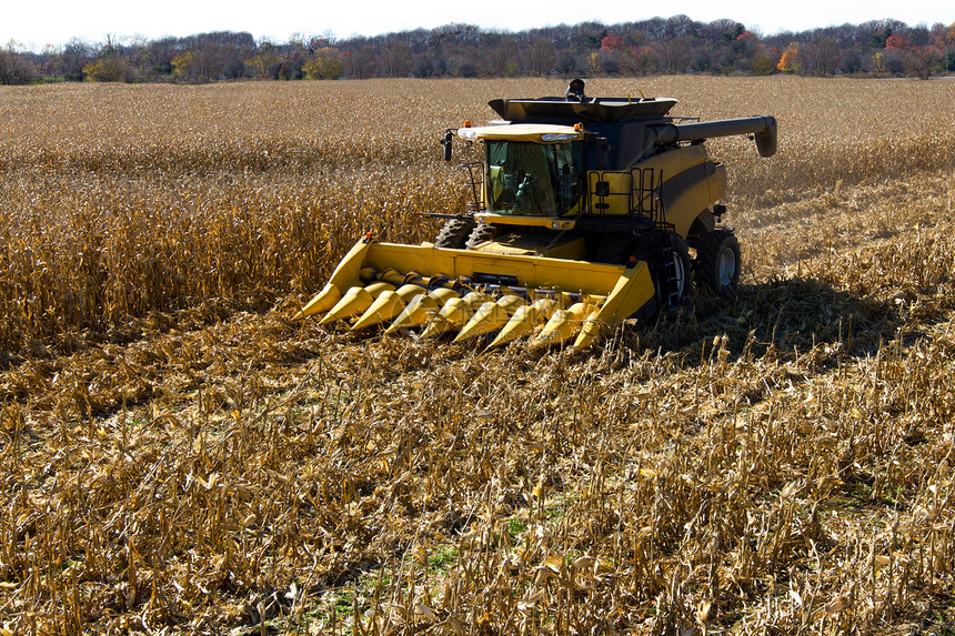 玉米收获植物生产土地农村机械拖拉机收成核心粮食采摘图片
