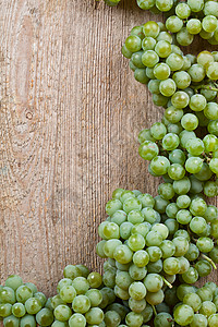 对称藤蔓边框新鲜绿葡萄食物藤蔓甜点水果边框美食浆果小吃酒厂植物背景