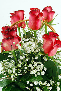 红玫瑰花束花大部分礼物植物铭文红色玫瑰背景图片