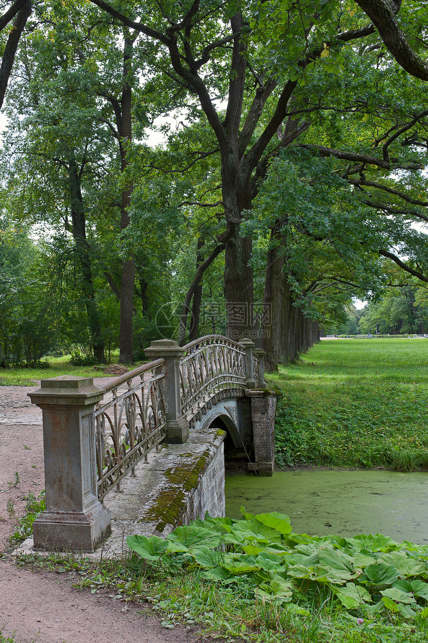 萨尔斯科耶塞洛大桥公园历史地标水库建筑学树木渠道海滩花园绿色图片