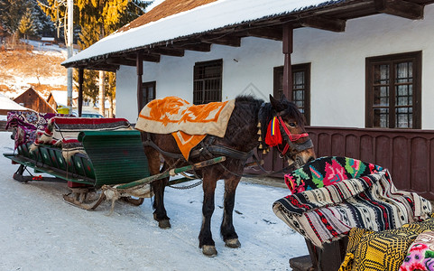 雪的毯子传统的罗马尼亚骑马雪橇背景
