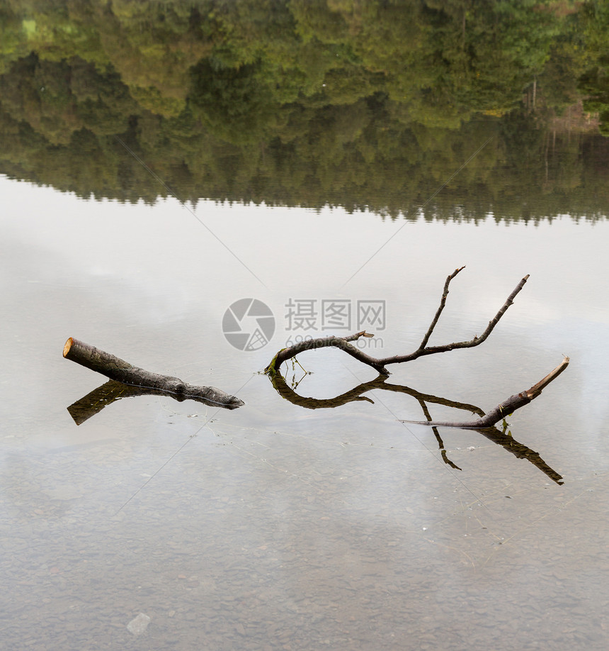 凝水支分支的反射戏剧性国家湖区破坏绿色薄雾蓝天乡村风景英语图片