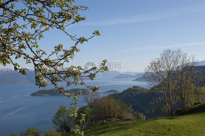 Fjord 位置游客树木目的地文化天空旅游山脉荒野峡湾森林图片