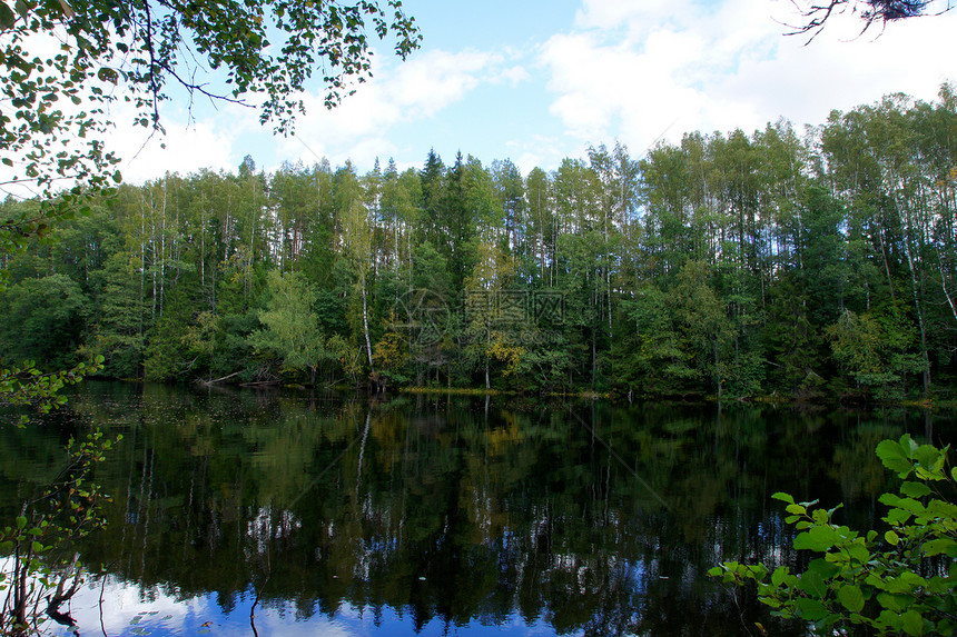 绿色森林的反射农村叶子蓝色环境国家课程场地乡村池塘天空图片
