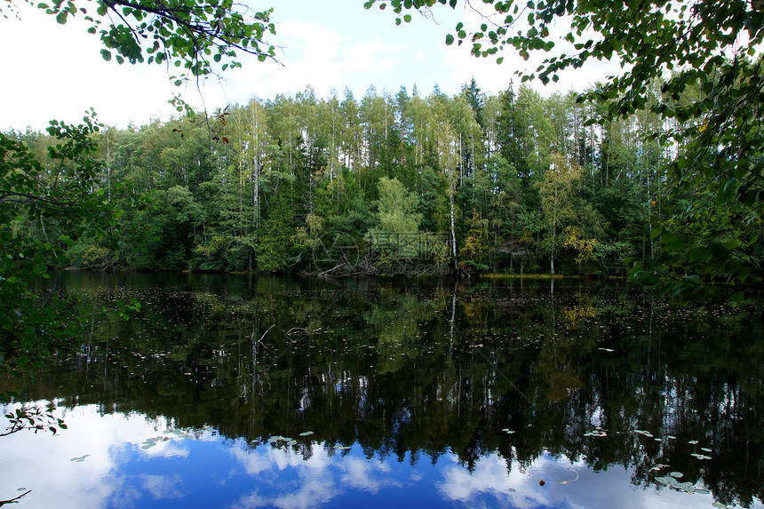 绿色森林的反射农村叶子多叶国家蓝色乡村池塘环境生长天空图片