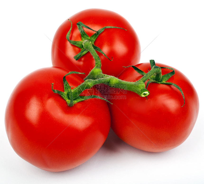 番茄饮食种子藤蔓植物果汁小吃烹饪杂货白色电子图片