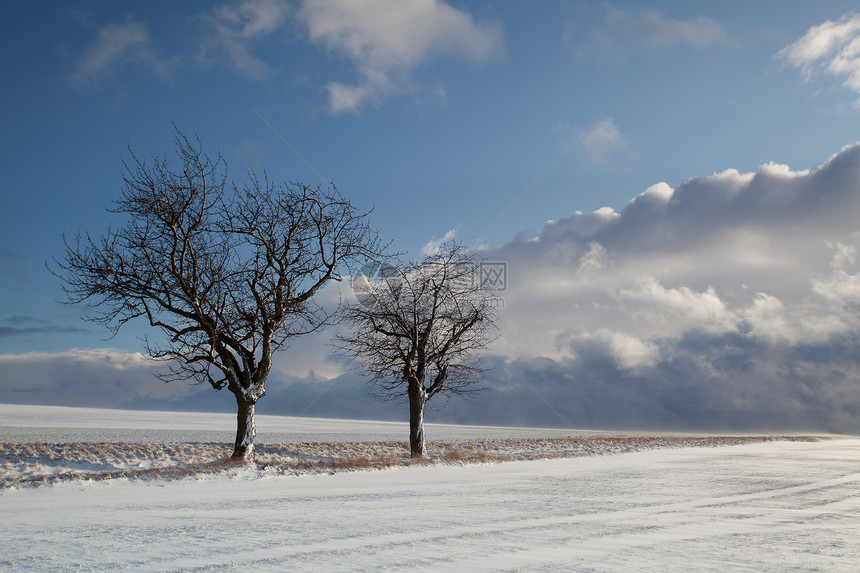 雪暴孤独空路场地戏剧性单人风暴暴风雪纸牌天气图片