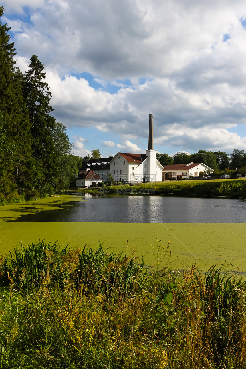 爱沙尼亚蓝天空绿池塘图片