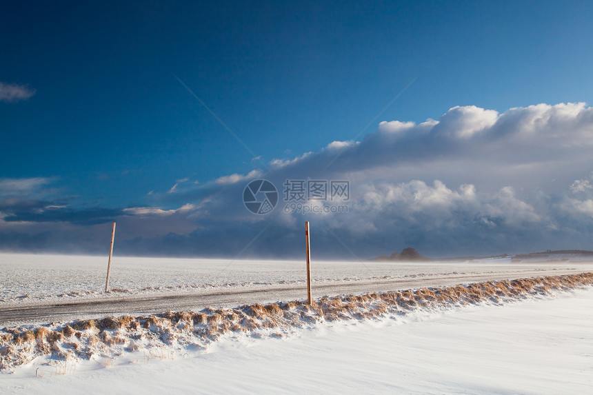 雪暴场地风暴大风孤独单人纸牌树木天空空路戏剧性图片