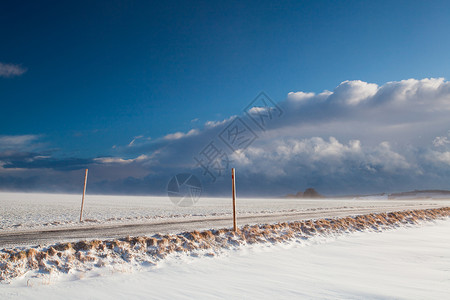 雪暴场地风暴大风孤独单人纸牌树木天空空路戏剧性背景图片