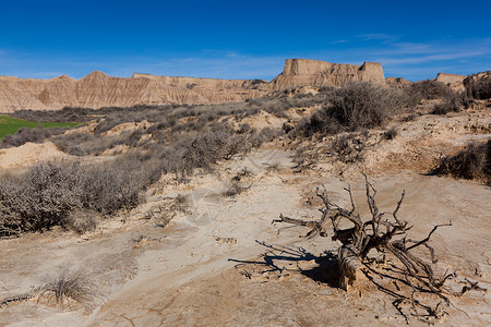 巴德纳斯雷亚莱斯生物圈保护区干燥高清图片