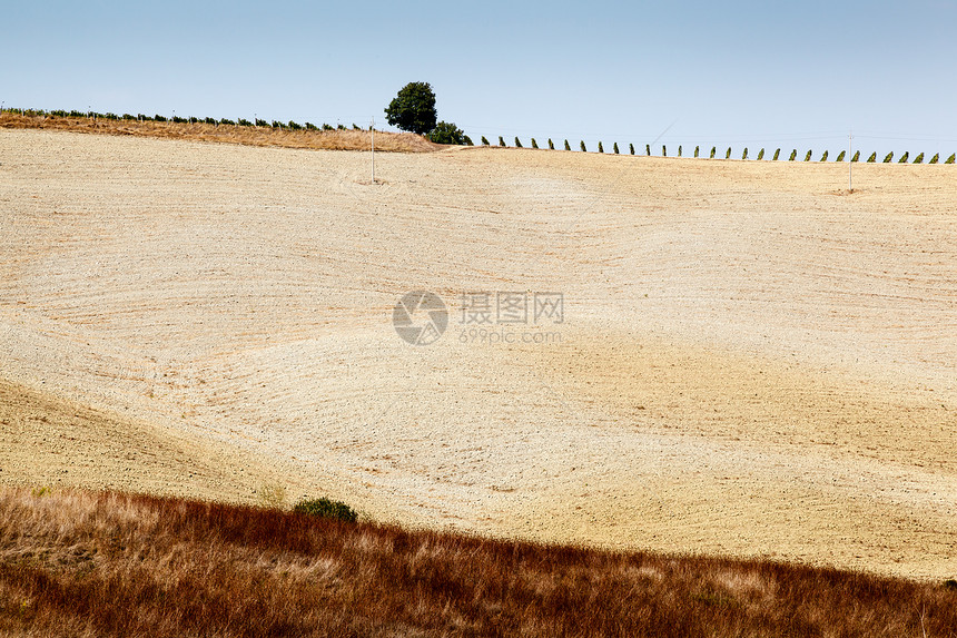 意大利托斯卡纳 蒙塔尔西诺附近托斯卡纳农田玉米旅行假期草地季节农村爬坡国家奇诺图片