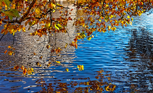 秋天运河公园水路旅游季节森林蓝色树叶季节性旅行高清图片