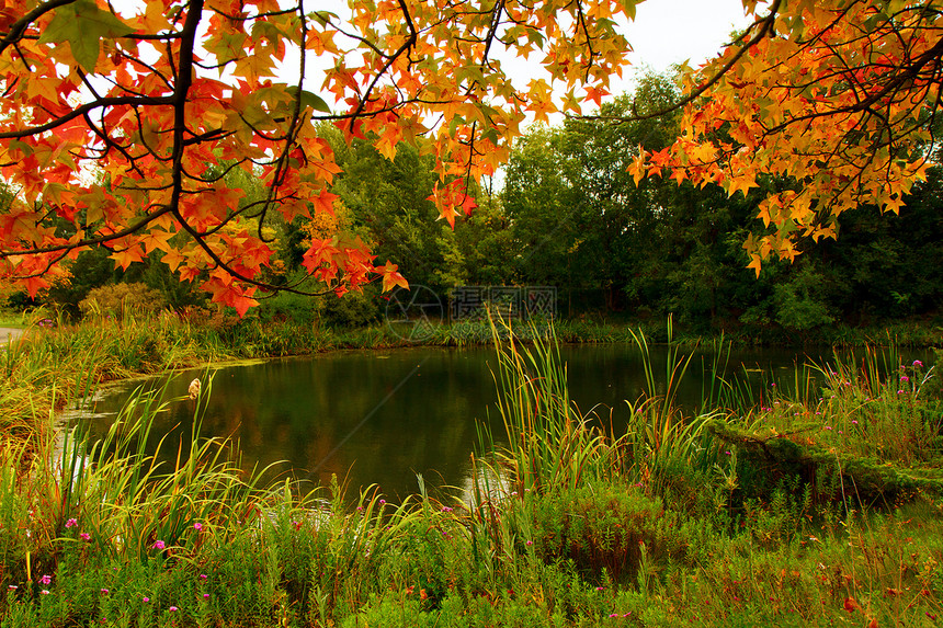 池塘的瀑布颜色图片
