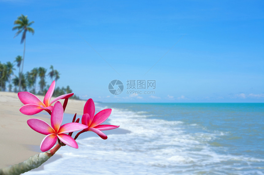 海滩上的花朵热带热石按摩奢华治疗瑜伽蓝色异国海洋冥想图片