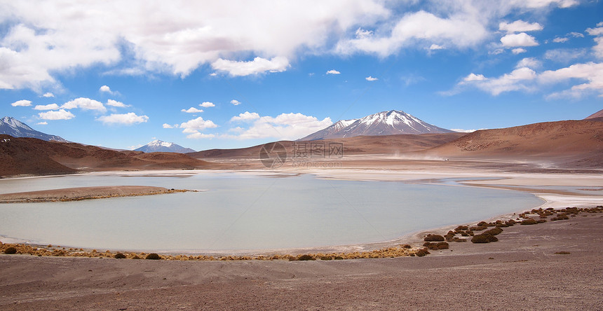 拉古纳在玻利维亚高平线上的拉古纳图片