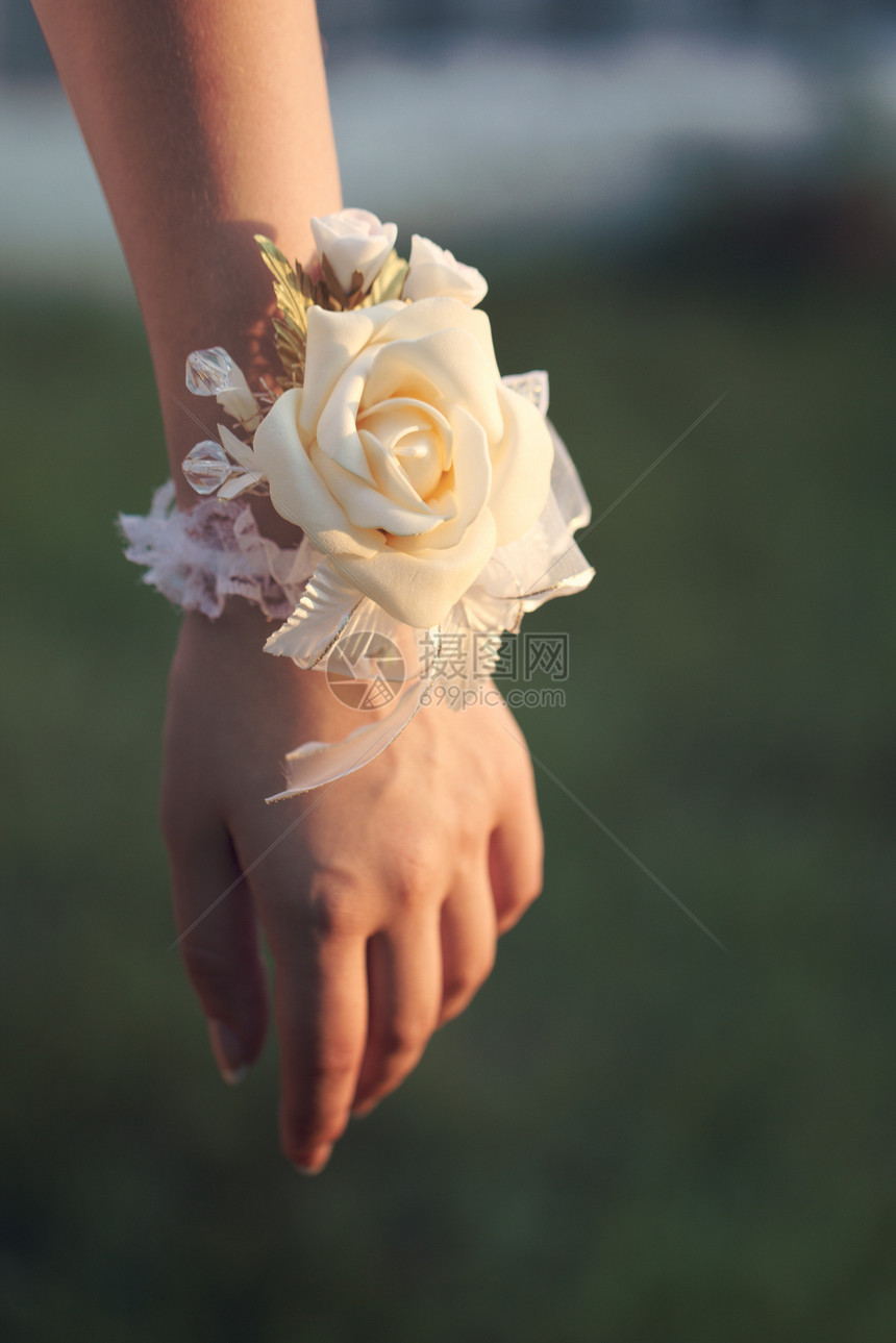 伴娘们手中的花朵珍珠指甲裙子植物叶子手腕花束玫瑰舞会花店图片