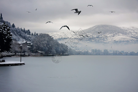 带鸟 雪和云的冰冻湖泊背景图片