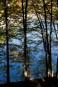 奥拜泽塔自然塞尔瓦德伊拉蒂高清图片