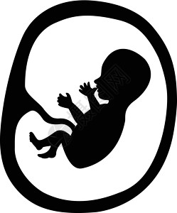 子宫中的婴儿胎儿在子宫中怀孕产科几个月新生儿妈妈卫生妇科生存保健婴儿插画