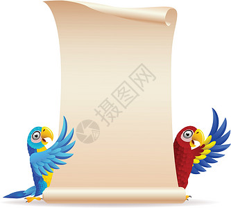 蓝色两只鹦鹉带卷纸的麦考鸟宠物主持人森林横幅卡通片蓝色快乐热带乐趣标语插画