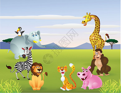 大草原动物动物动物漫画吉祥物黑猩猩河马斑马团体旅行卡通片丛林哺乳动物插图插画