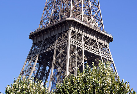 硬度埃菲尔铁塔一层 19世纪的法国巴黎背景