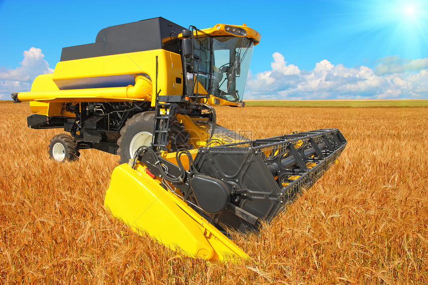 在蓝色天空的小麦田上合并收割器谷物土地力量拖拉机收获面包农场场景场地稻草图片