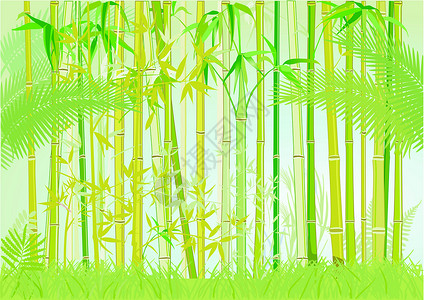 东风标致竹林风水竹杖热带植物群植物园艺生活棕榈花园树叶插画