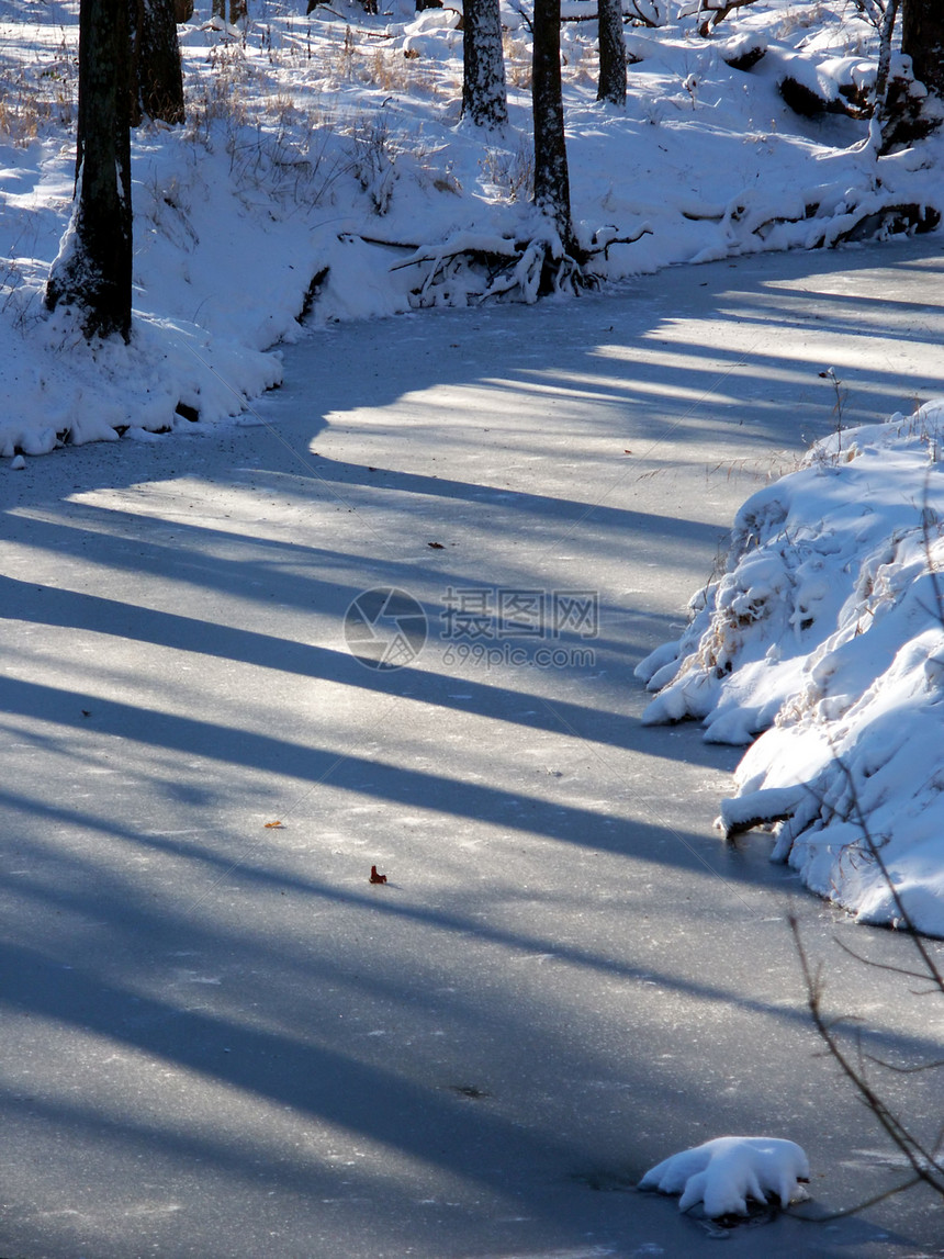 阿勒顿公园冬季风景环境植物荒野绿地溪流阴影阳光树木太阳林地图片