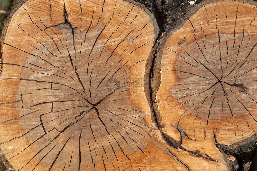 橡木原表面作为背景棕色裂缝树干材料木材自然乡村图片
