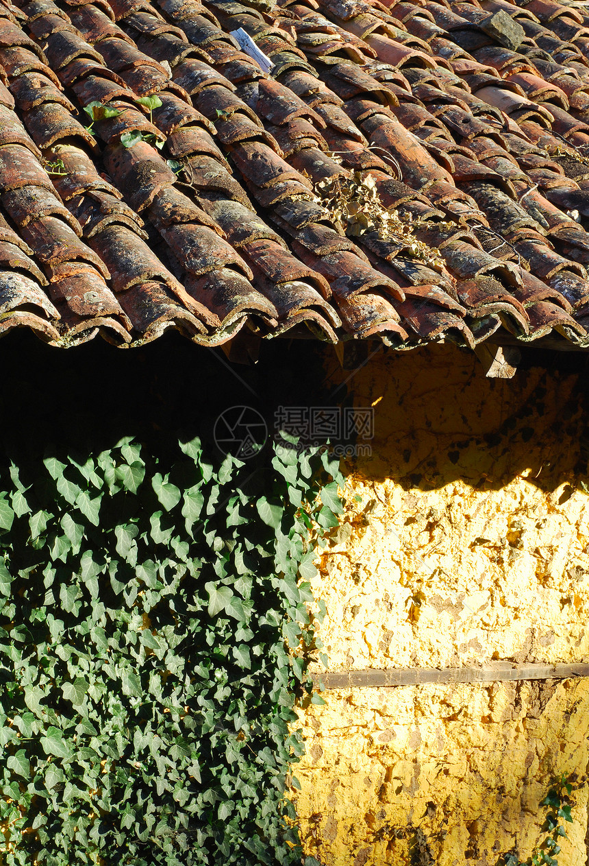 Adobe 框架建筑墙屋顶砖绿色树叶植物植物群文化叶子房子艺术建筑学生长图片