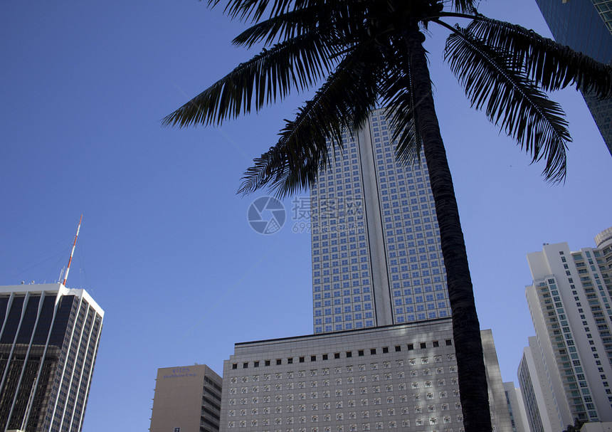 佛罗里达州迈阿密大楼城市建筑学时候外观目的地气候建筑摩天大楼热带金子图片