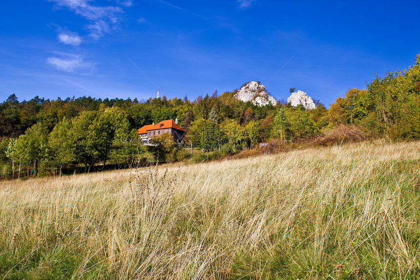 Kalnik山美丽的自然风景图片