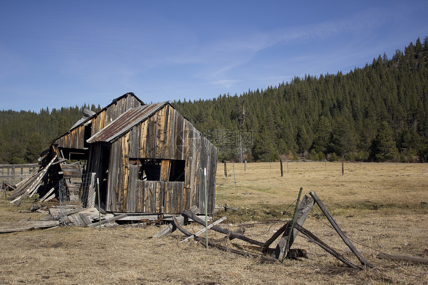 加利福尼亚州塞拉维尔的旧谷仓牧场木头森林松树图片