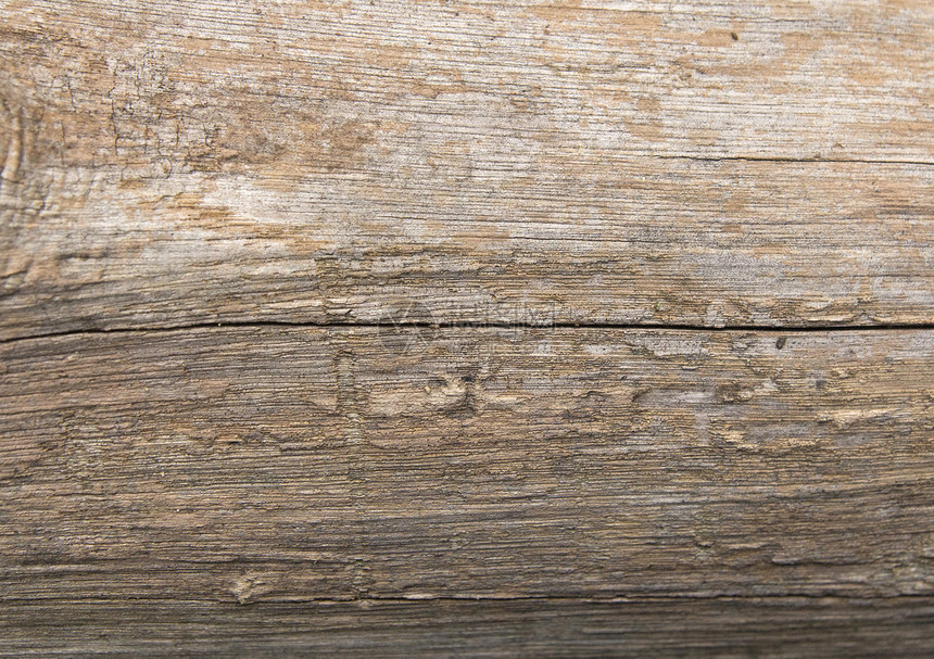 木树皮纹理木工日志材料家具粮食墙纸装饰地面橡木木头图片