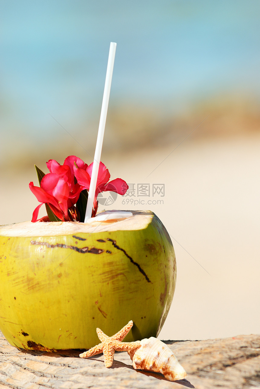 海滩上的椰子异国阳光坚果棕榈情调海景晴天可可水果海岸图片