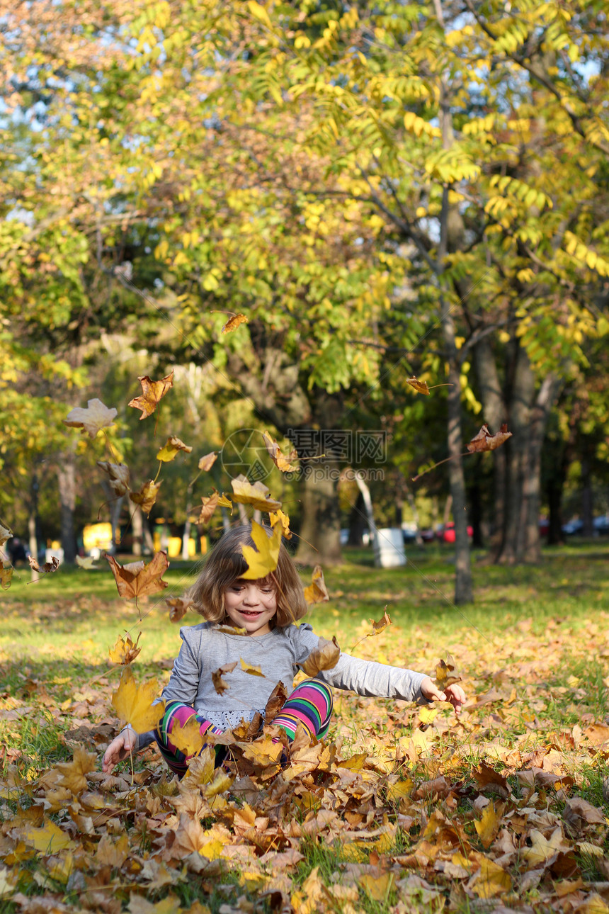 小女孩玩秋叶的游戏公园童年女性孩子女儿季节树叶乐趣白色青年图片